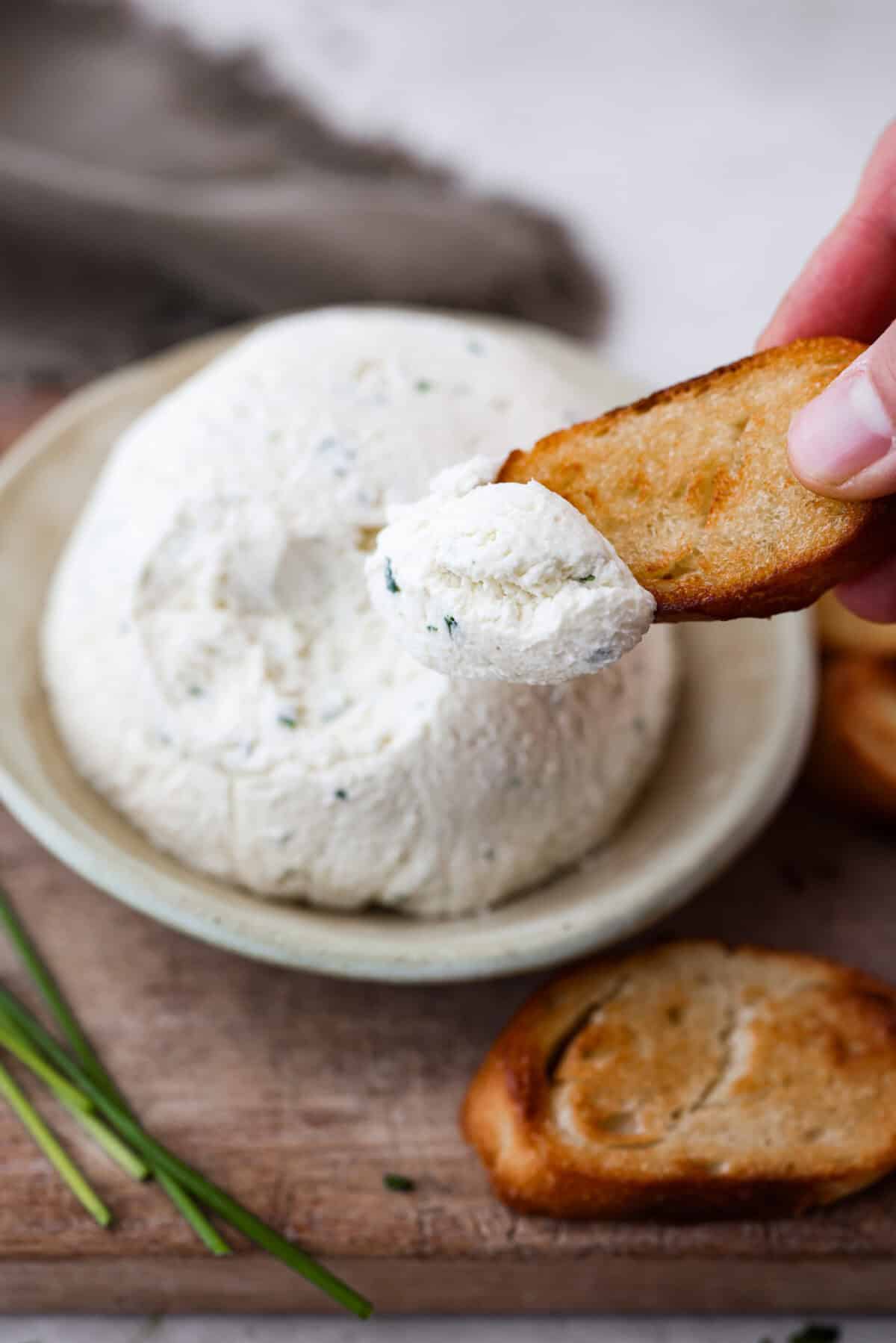 Angle shot of someone scooping a bite of cheese with a piece of crostini bread. 