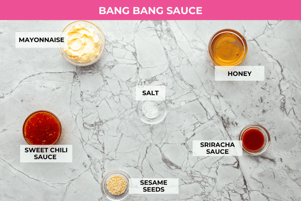 Overhead shot of labeled sauce ingredients. 