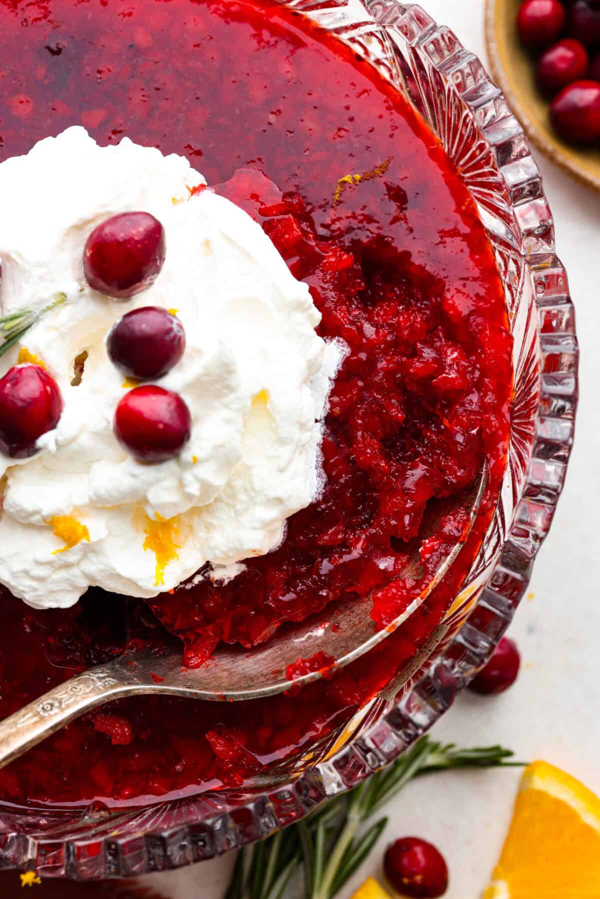 Close up shot of the cranberry jello salad. 