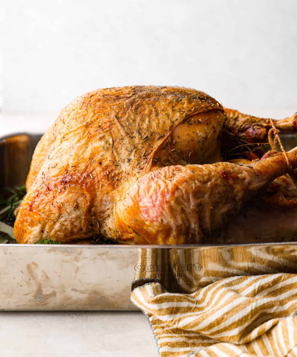 Side shot of dry brine turkey in a pan. 