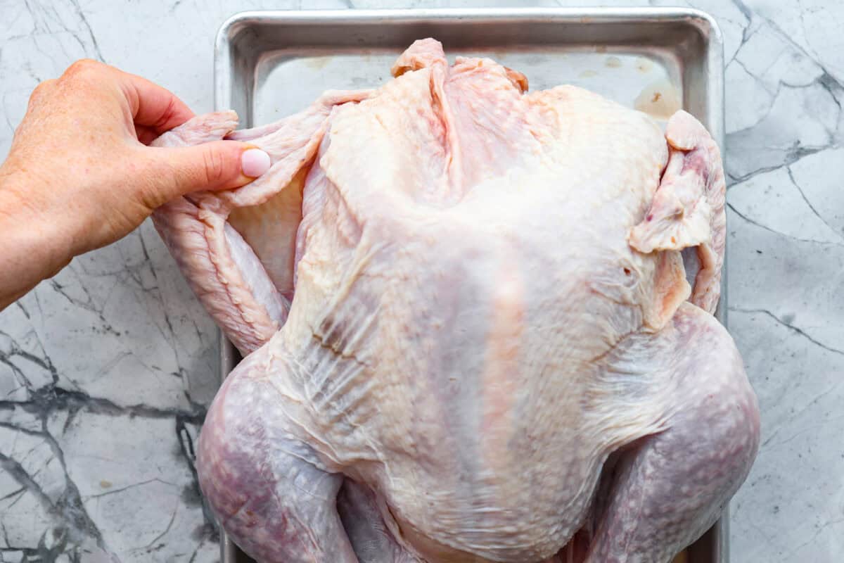 Fourth photo of the wings tucking underneath the turkey.