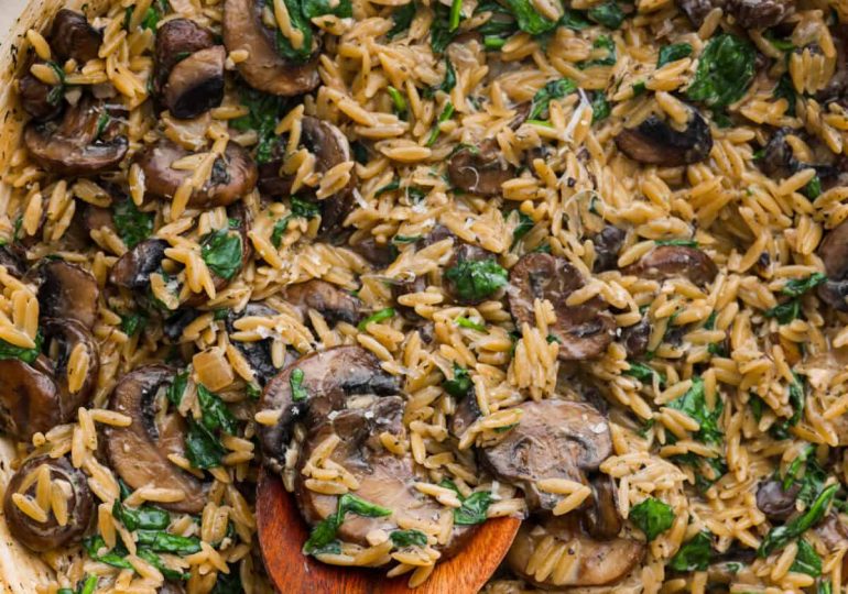 Mushroom Orzo