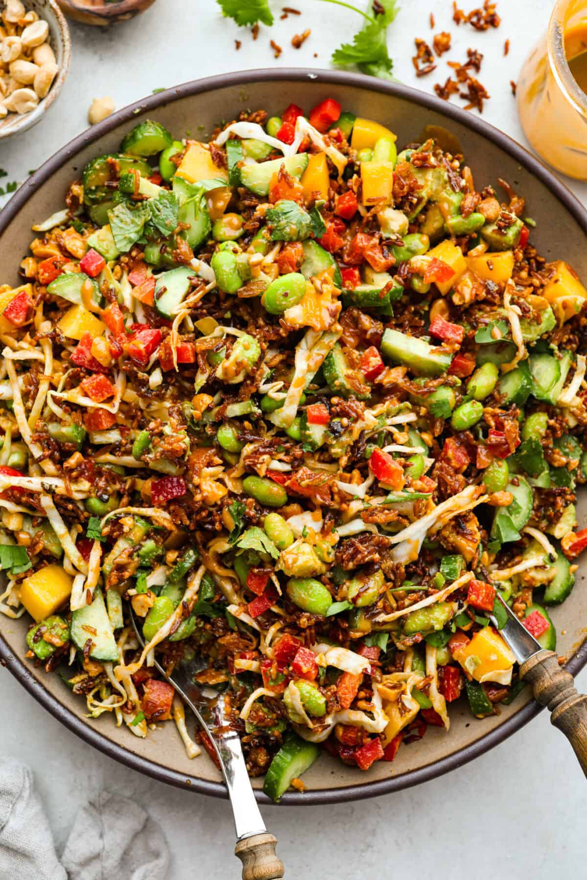 Overhead shot of the trendy crispy rice salad.