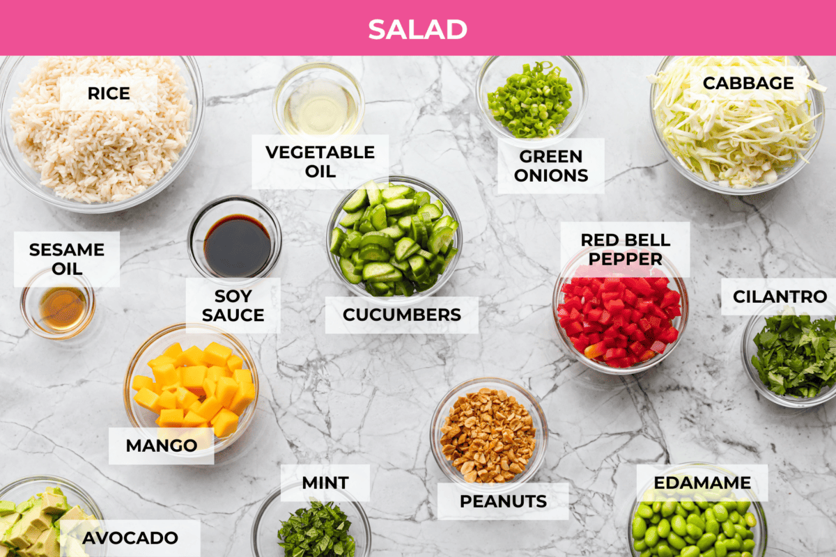 Overhead shot of labeled crispy rice salad ingredients. 
