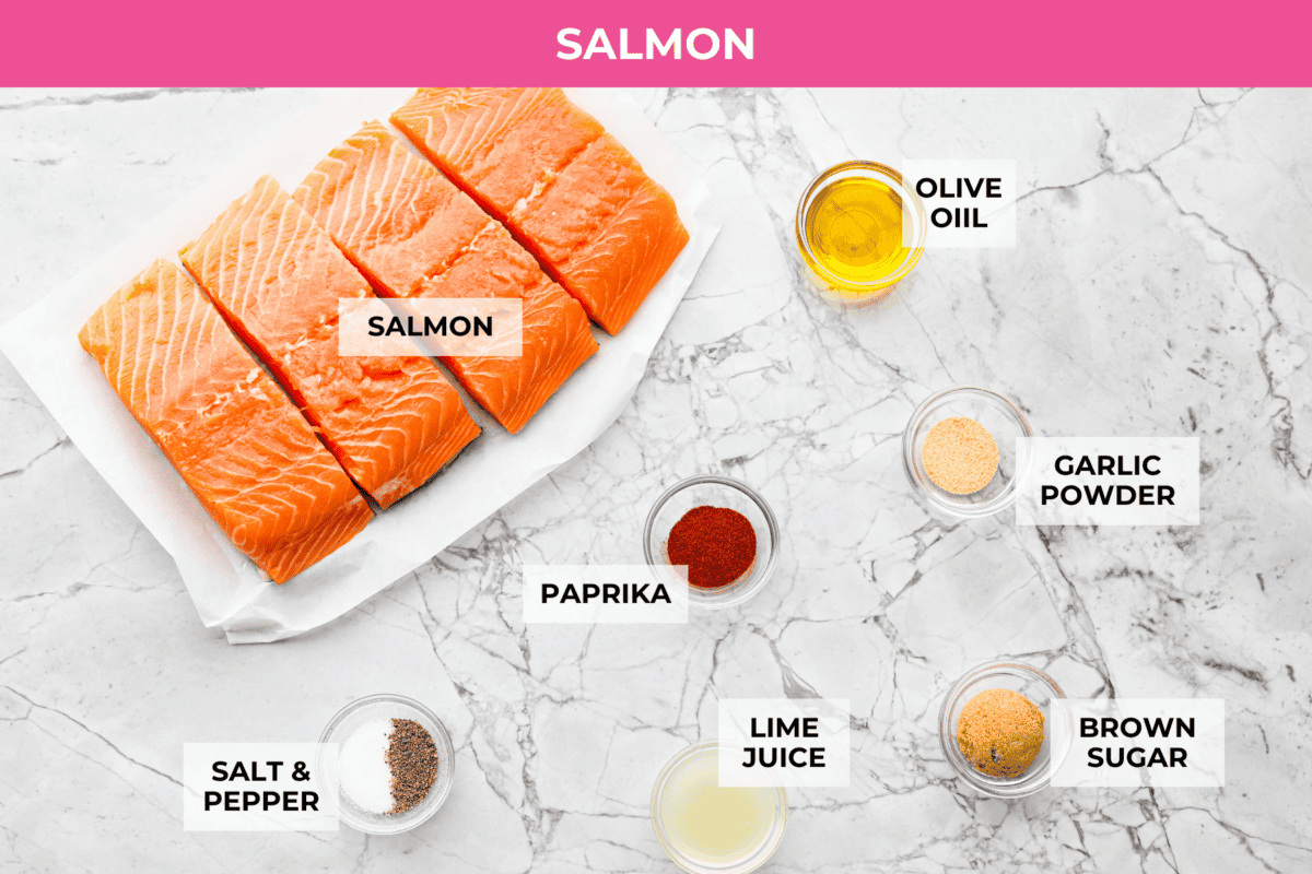 Overhead shot of labeled salmon ingredients. 