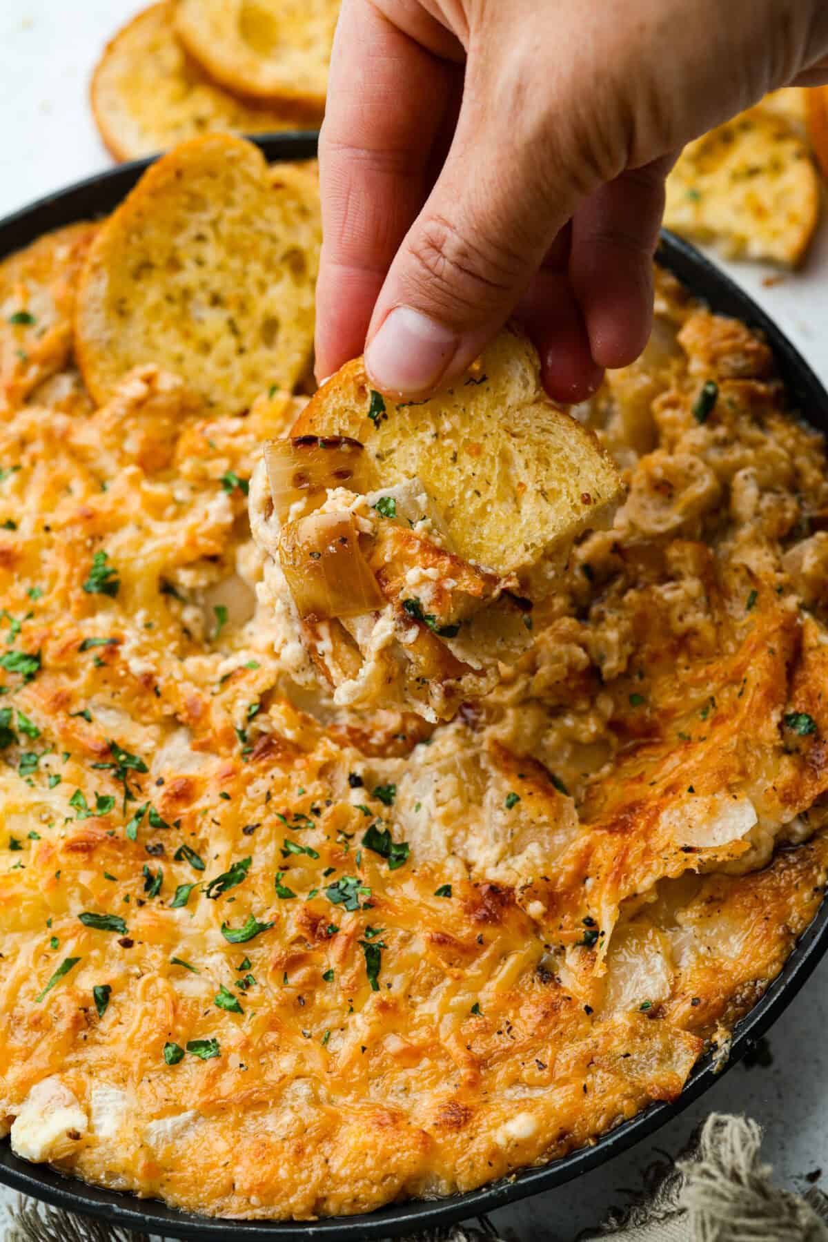 Someone getting a scoop of Tennessee onion dip with a crostini slice. 