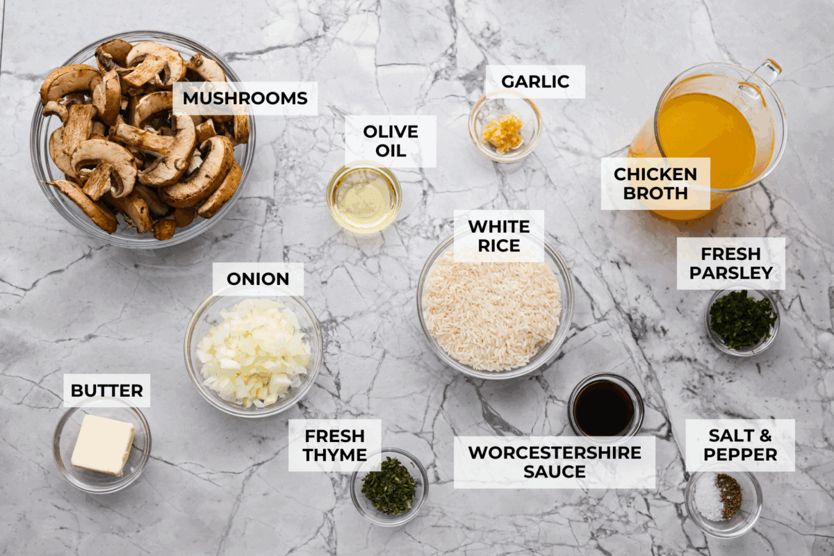 Overhead shot of labeled ingredients. 