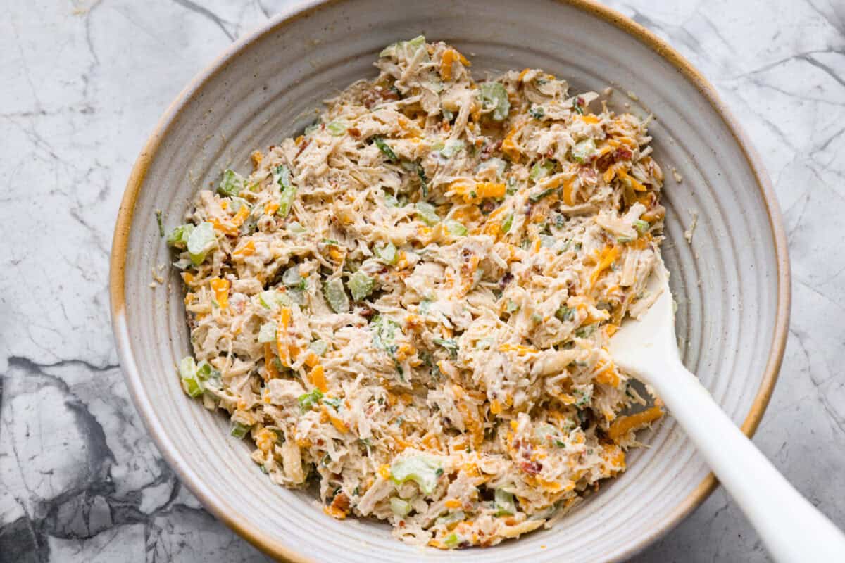 All of the ingredients mixed together in a mixing bowl. 