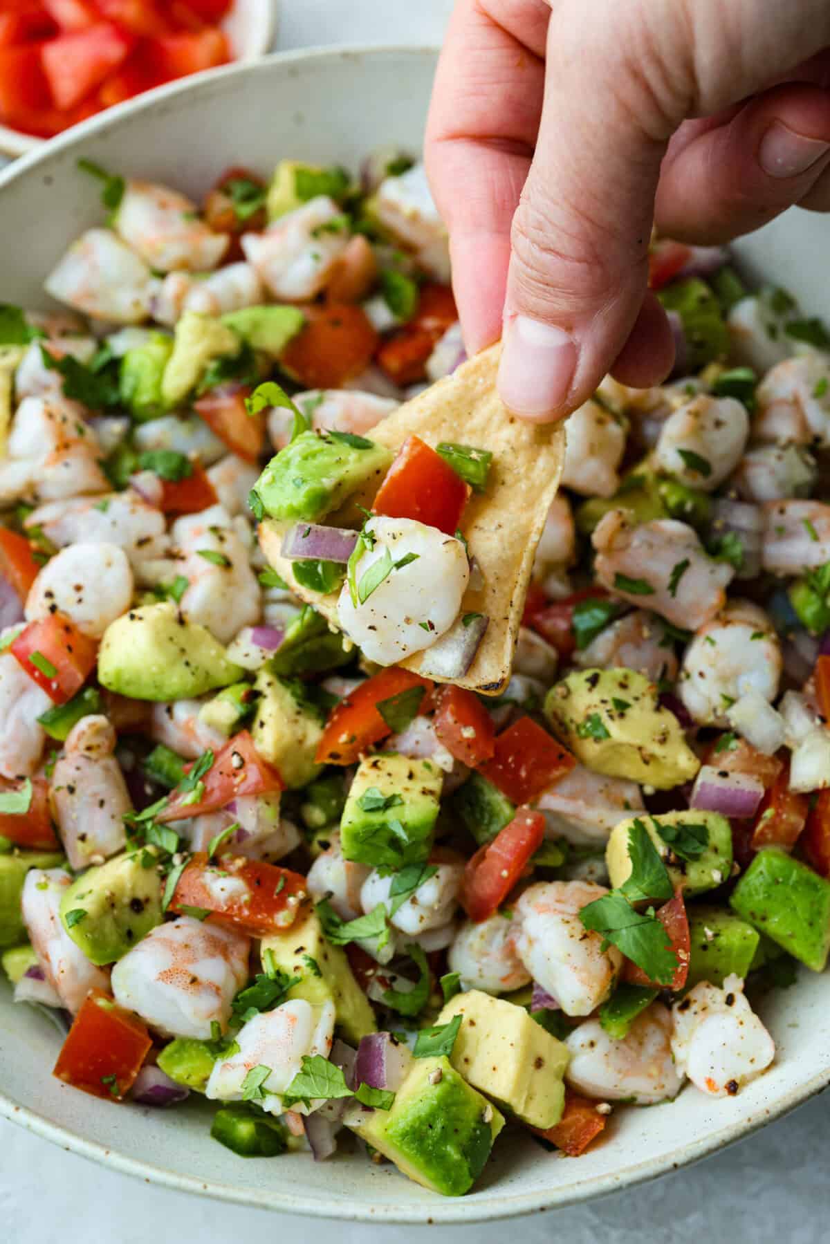 Someone holding up a scoop of shrimp ceviche on a tortilla chip. 
