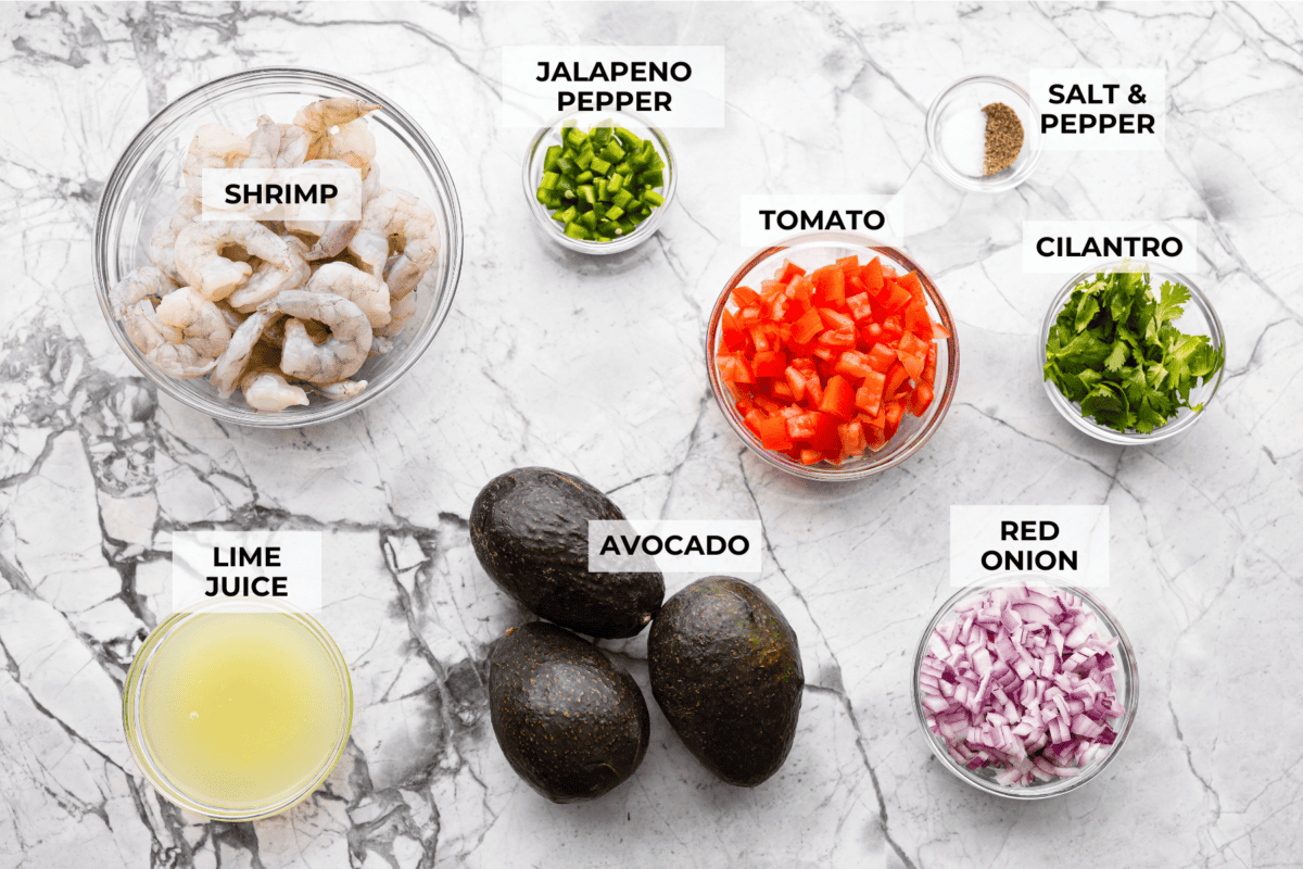 Overhead shot of labeled shrimp ceviche ingredients. 