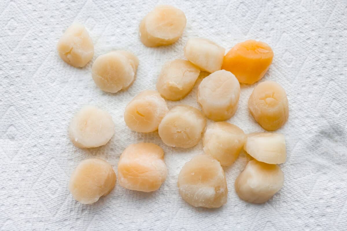 My pan seared scallops recipe has been a reader favorite for years, and one bite will show you why. The buttery golden scallops with that bright, fresh lemon flavor are what make this recipe stand out from all the others. Scallops spread out on a paper towel drying.