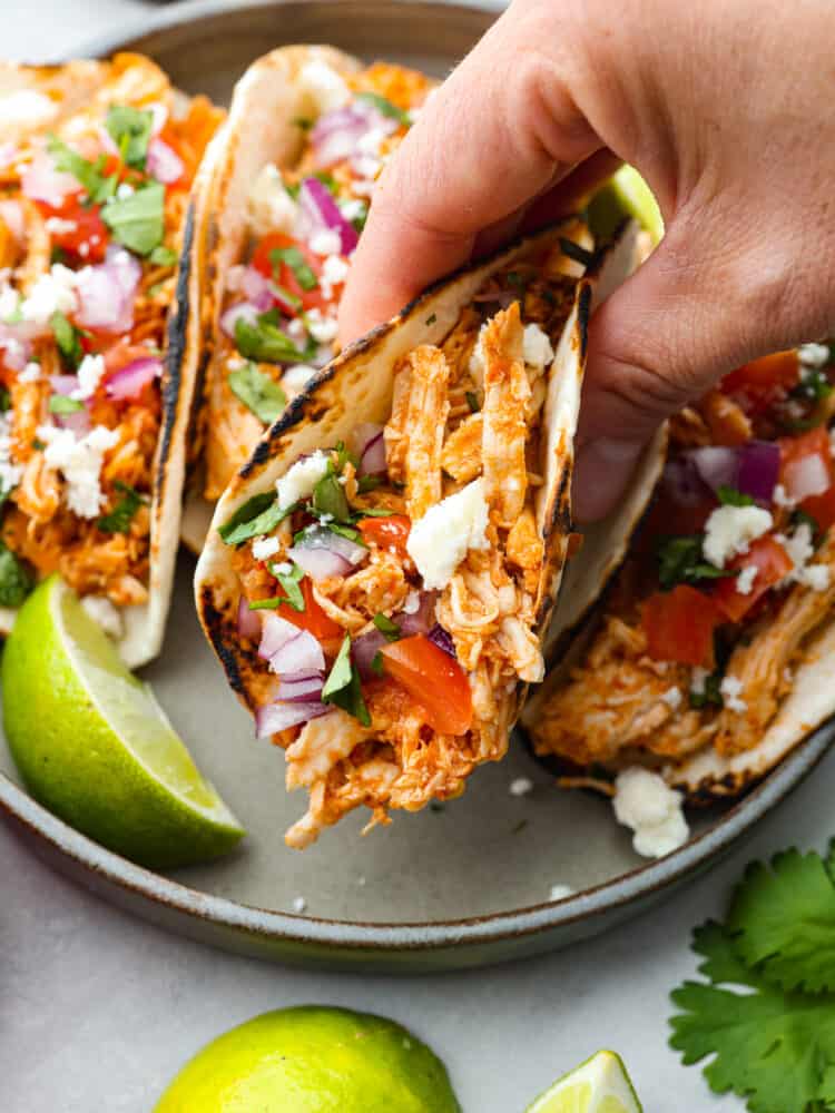 Shredded chicken tacos turn cooked chicken into juicy, flavorful tacos with salsa, lime, and a few simple seasonings. Use rotisserie chicken or choose from four easy ways to cook and shred your own. A hand holding a taco over a plate of other tacos.